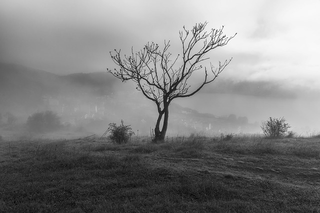 Image by Ioannis Ioannidis from Pixabay