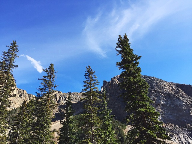 Image by Free-Photos from Pixabay