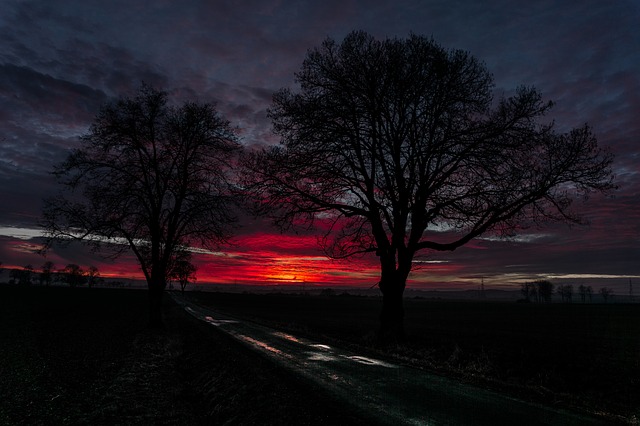Image by Florian Kurz from Pixabay