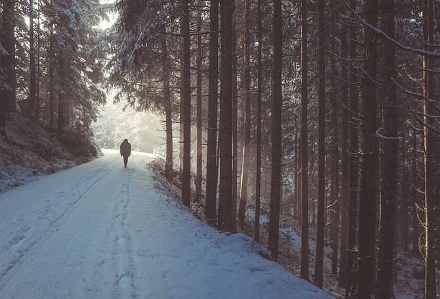 Image by StockSnap from Pixabay