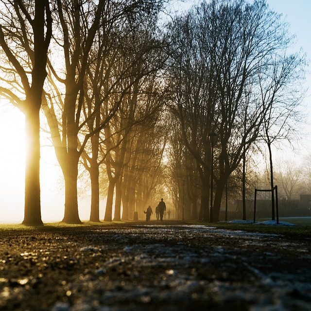 Image by StockSnap from Pixabay