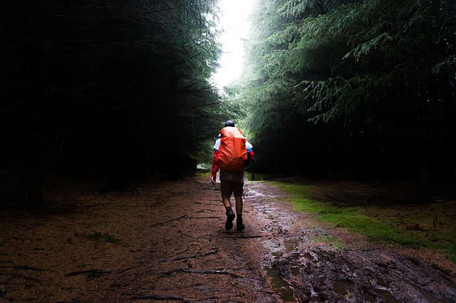 Image by StockSnap from Pixabay