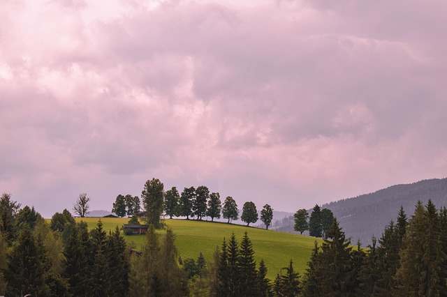 Image by Janek Wenzlik from Pixabay