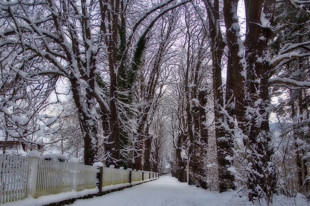 Image by Lisa eppinger from Pixabay