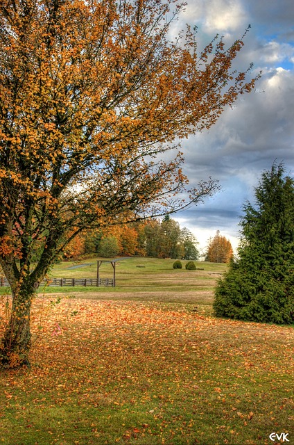 Image by ernie kasper from Pixabay