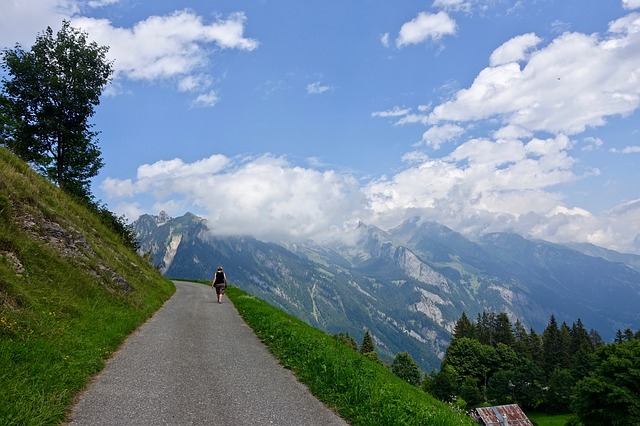 Image by Siggy Nowak from Pixabay