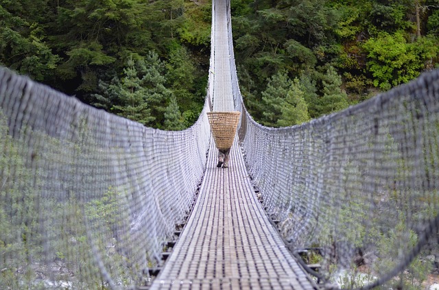 Image by travelphotographer from Pixabay