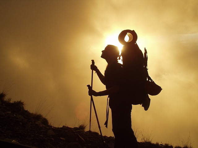 Image by Simon Steinberger from Pixabay
