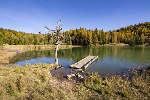 Image by gsibergerin from Pixabay