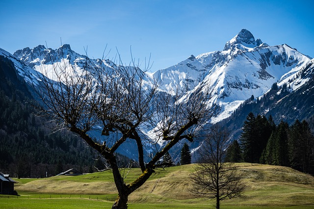 Image by mg1310 from Pixabay