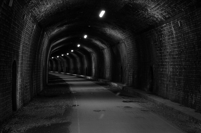 Image by Obsidain Photography from Pixabay