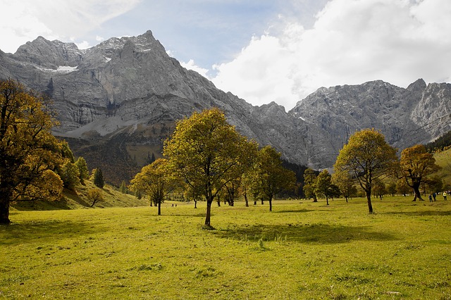 Image by Kurt Monauni from Pixabay