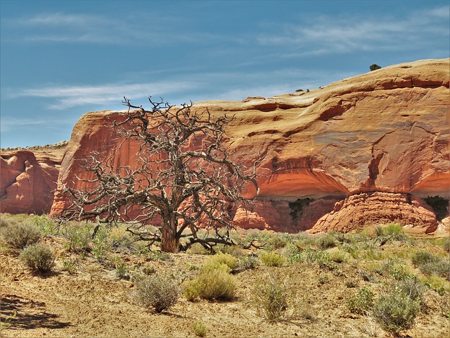 Image by GeorgeB2 from Pixabay