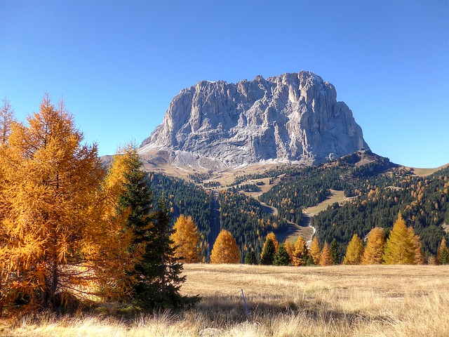 Image by kordula vahle from Pixabay