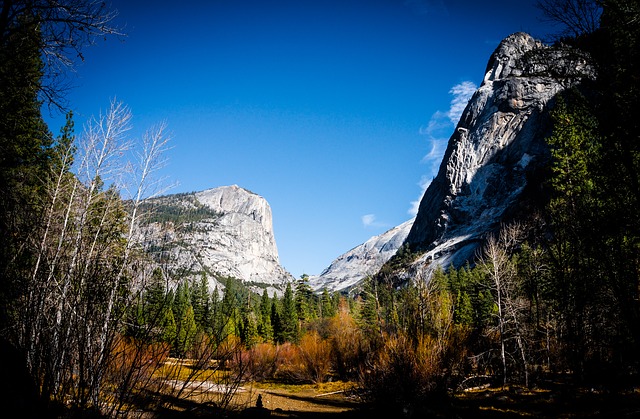 Image by Andre Cook from Pixabay