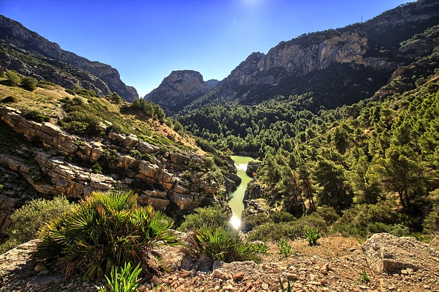 Image by Alfonso Cerezo from Pixabay