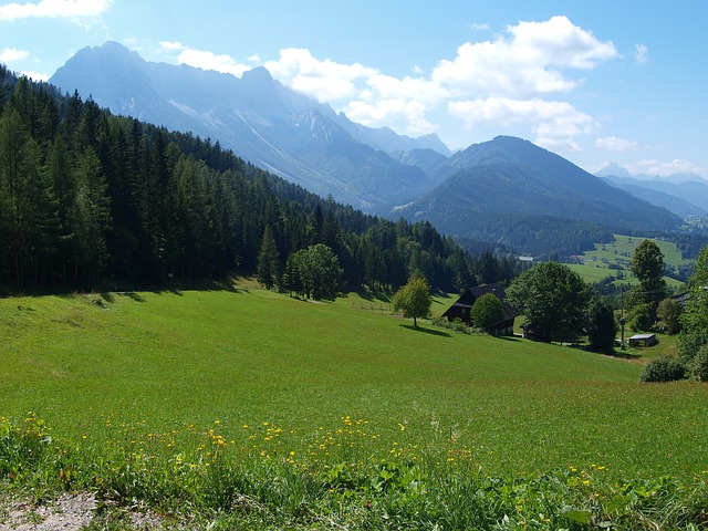 Image by gefrorene_wand from Pixabay