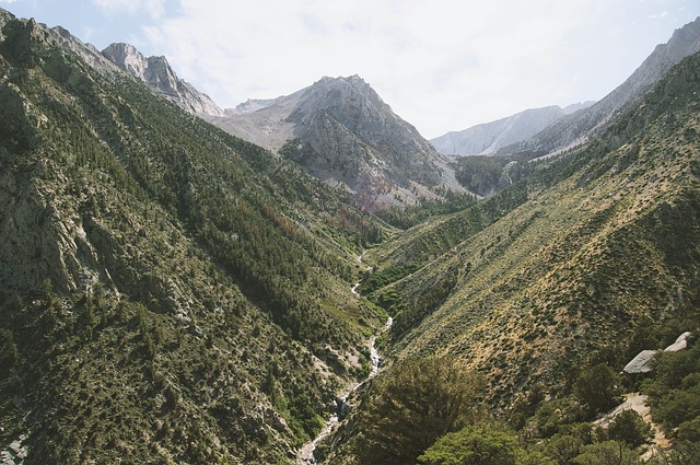 Image by Free-Photos from Pixabay