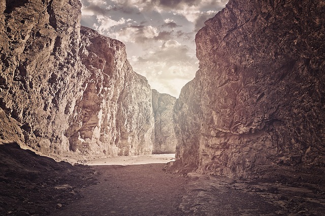 Image by esudroff from Pixabay