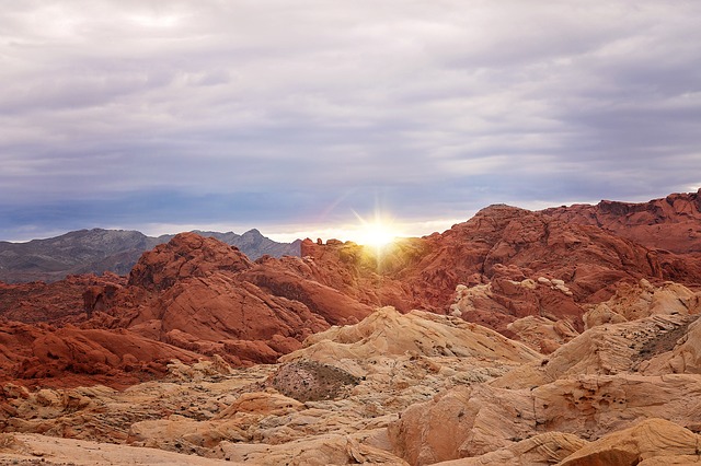 Image by esudroff from Pixabay