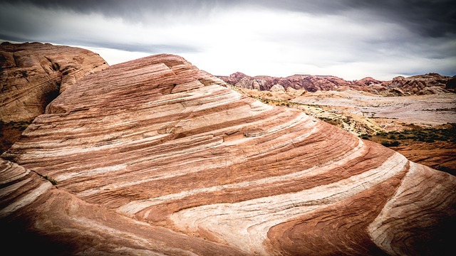Image by Steve Adcock from Pixabay