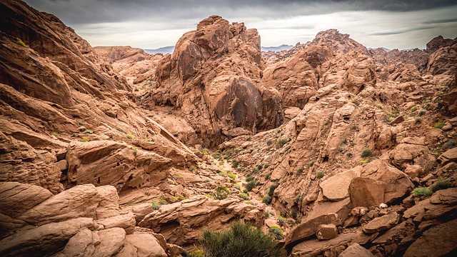 Image by Steve Adcock from Pixabay