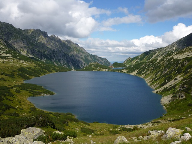 Image by Mika44 from Pixabay