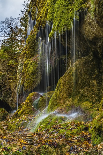 Image by O12 from Pixabay