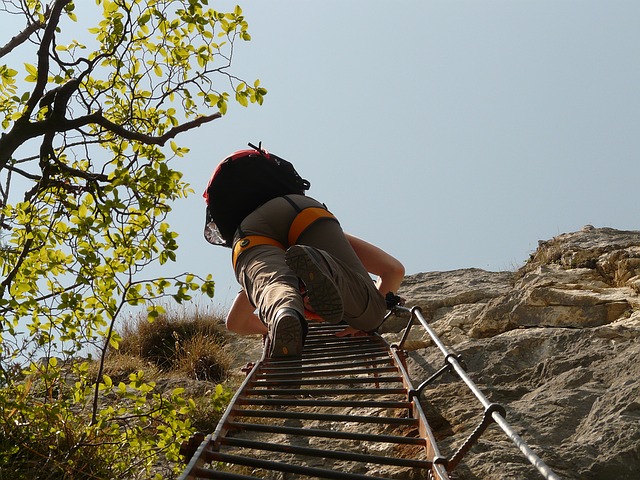Image by Hans Braxmeier from Pixabay