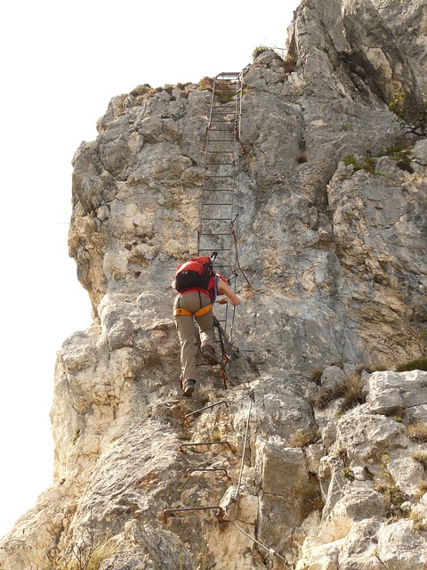 Image by Hans Braxmeier from Pixabay