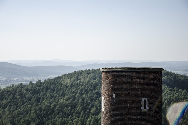 Image by Agata Nyga from Pixabay