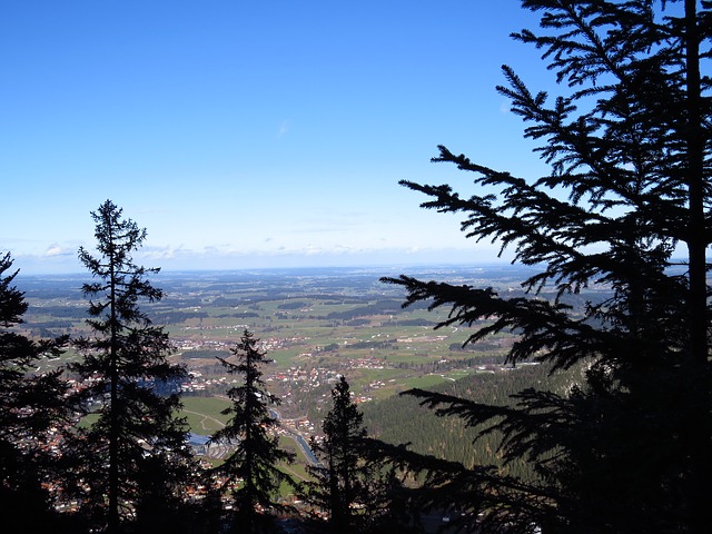 Image by Hans Braxmeier from Pixabay