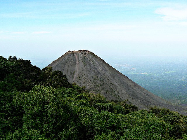 Image by Miguel Sánchez from Pixabay