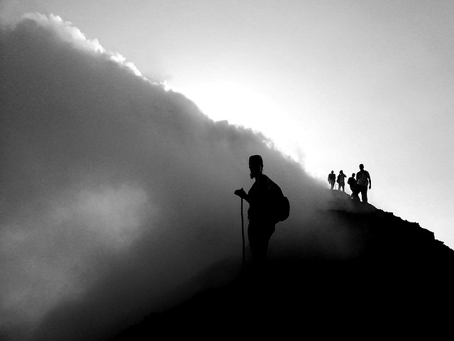 Image by Kirsten ter Borg from Pixabay