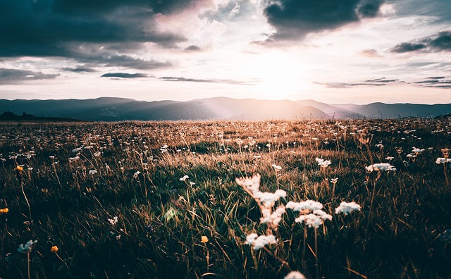 Image by Josia Becker from Pixabay