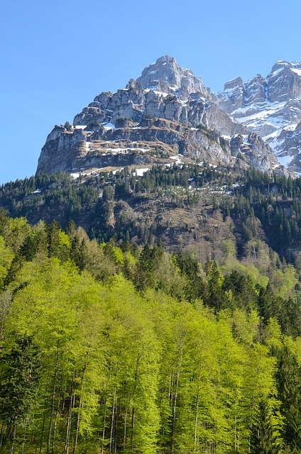 Image by Sarah Lötscher from Pixabay