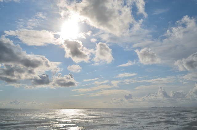 Image by Lars Hoffmann from Pixabay