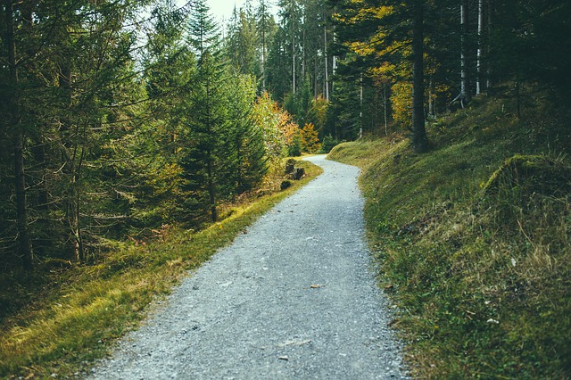 Image by Free-Photos from Pixabay
