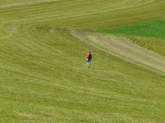 Image by Hans Braxmeier from Pixabay