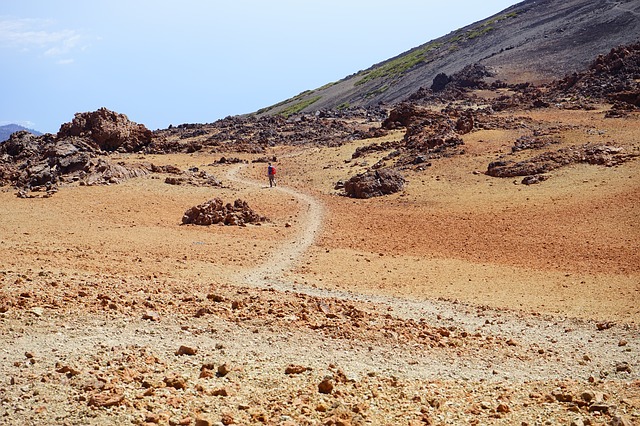 Image by Hans Braxmeier from Pixabay