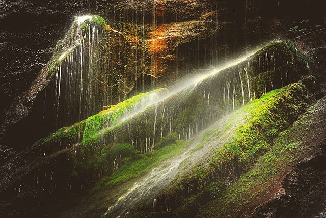 Image by kordula vahle from Pixabay