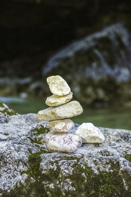 Image by Sophia Hilmar from Pixabay