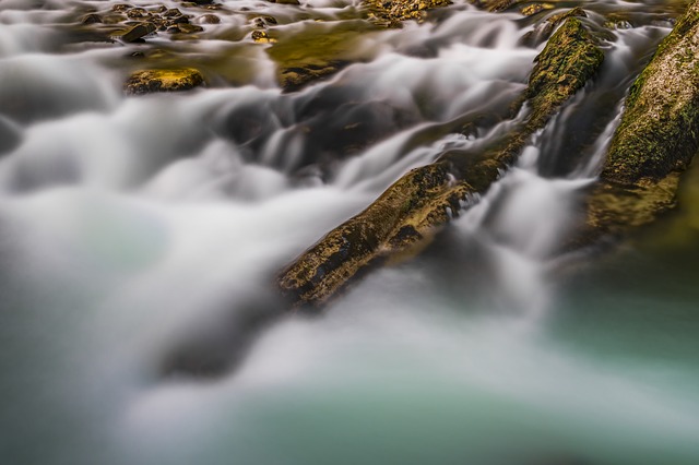 Image by O12 from Pixabay
