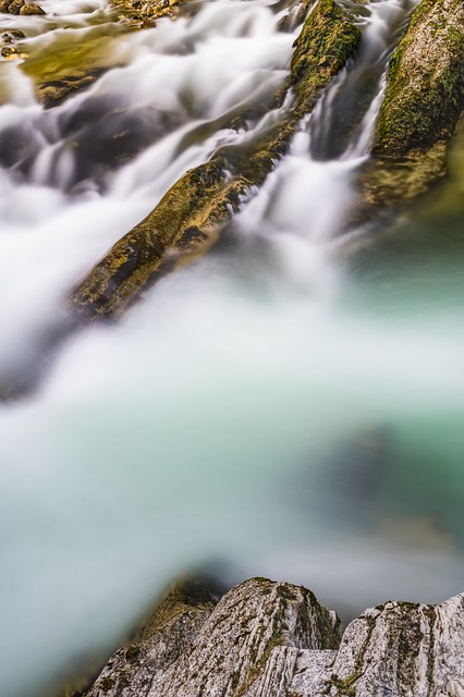 Image by O12 from Pixabay