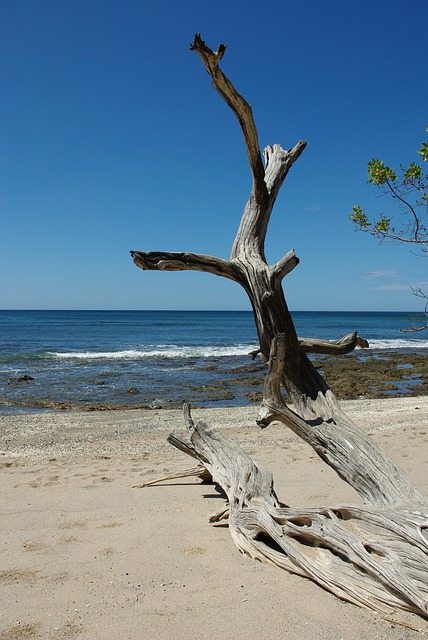 Image by Samantha Scott from Pixabay