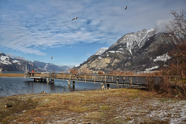 Image by Fotoauge from Pixabay