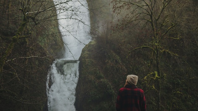 Image by Free-Photos from Pixabay