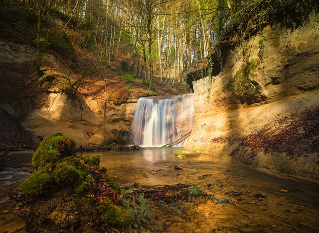 Image by Lars_Nissen_Photoart from Pixabay