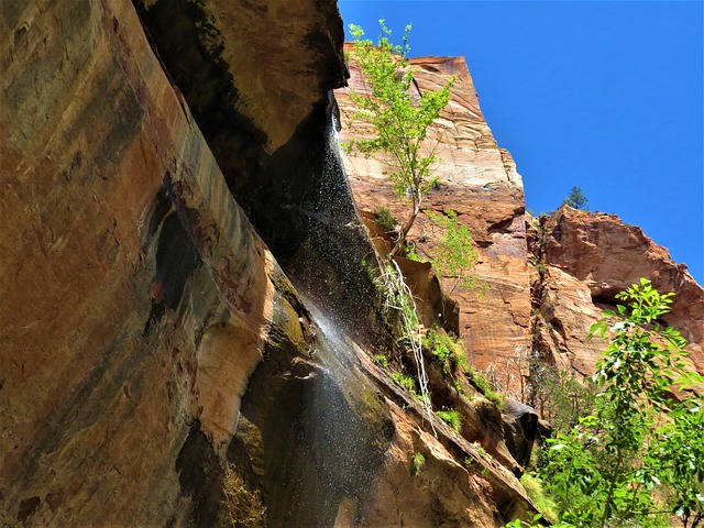 Image by GeorgeB2 from Pixabay