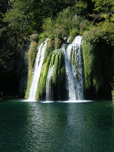 Image by Gaby Stein from Pixabay